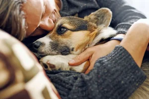 in-home pet euthanasia vs. clinic euthanasia